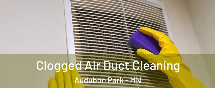 Clogged Air Duct Cleaning Audubon Park - MN