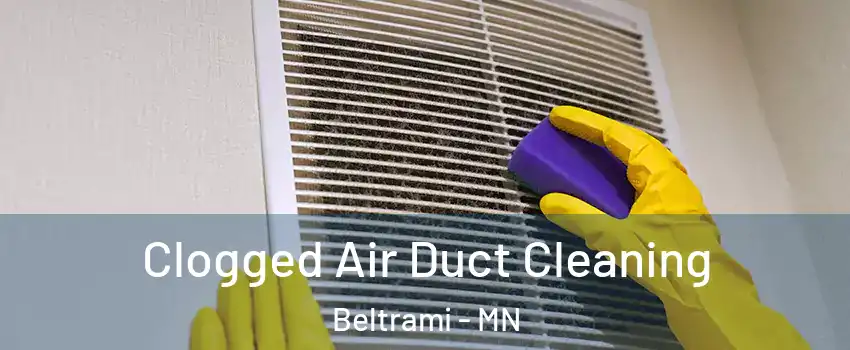 Clogged Air Duct Cleaning Beltrami - MN