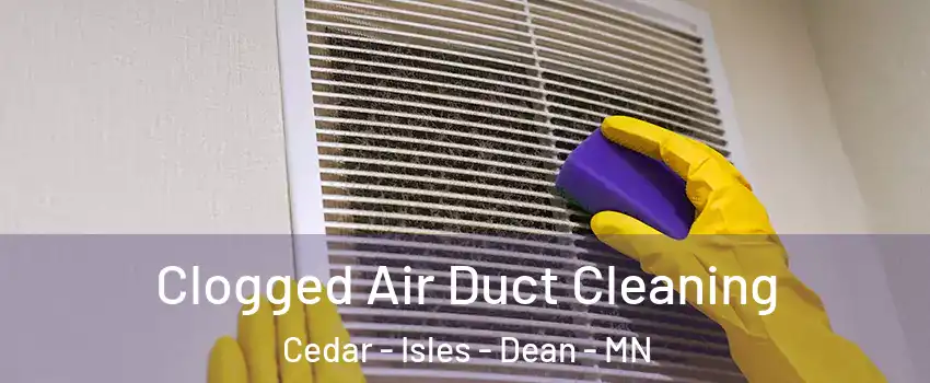 Clogged Air Duct Cleaning Cedar - Isles - Dean - MN