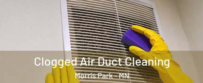 Clogged Air Duct Cleaning Morris Park - MN
