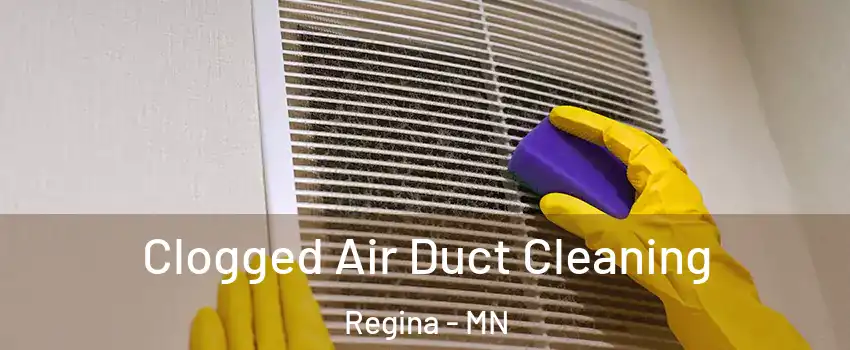 Clogged Air Duct Cleaning Regina - MN