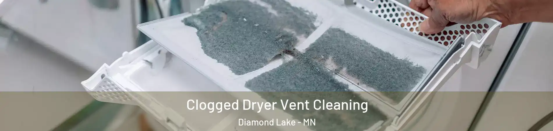 Clogged Dryer Vent Cleaning Diamond Lake - MN