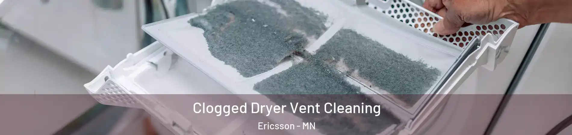 Clogged Dryer Vent Cleaning Ericsson - MN
