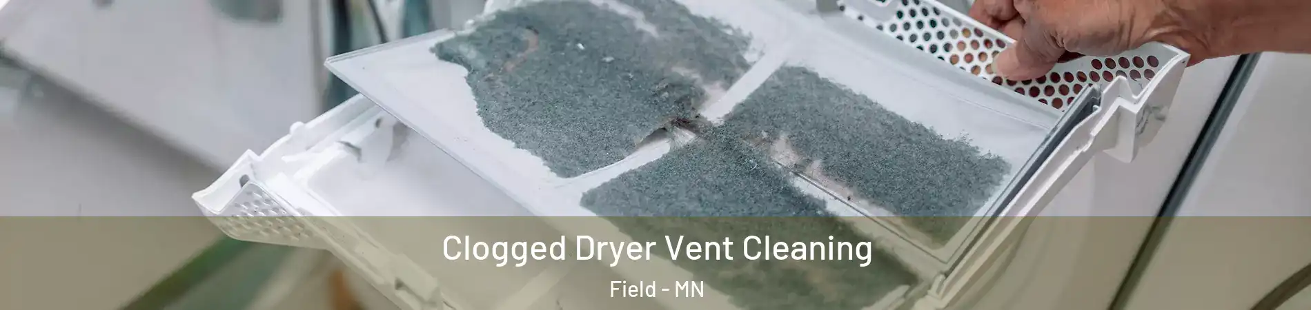 Clogged Dryer Vent Cleaning Field - MN
