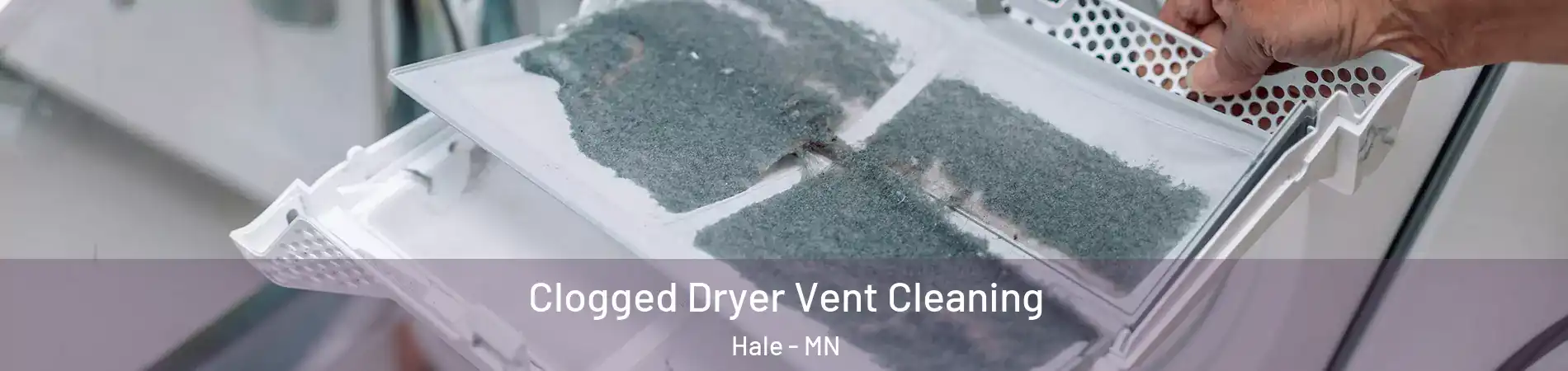 Clogged Dryer Vent Cleaning Hale - MN