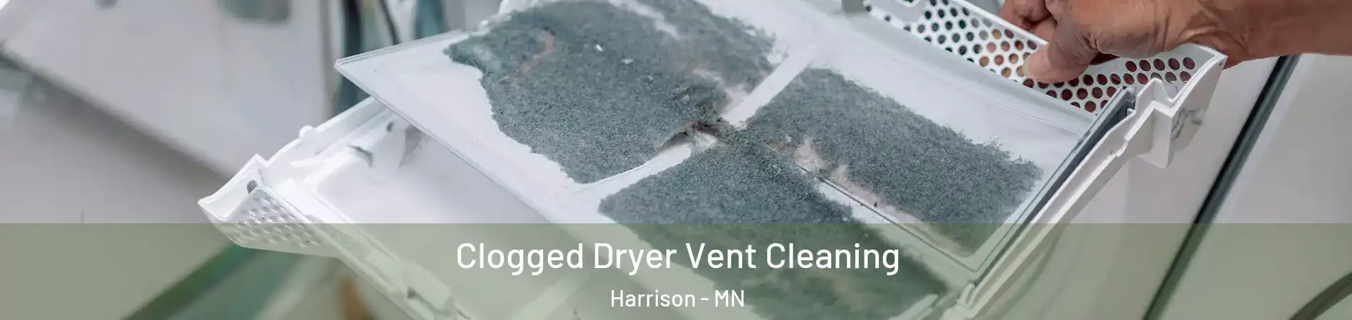 Clogged Dryer Vent Cleaning Harrison - MN