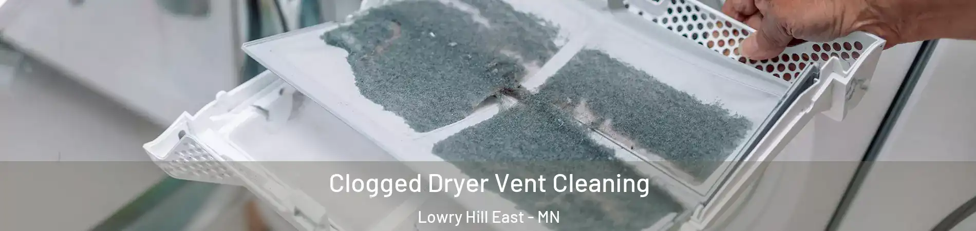 Clogged Dryer Vent Cleaning Lowry Hill East - MN
