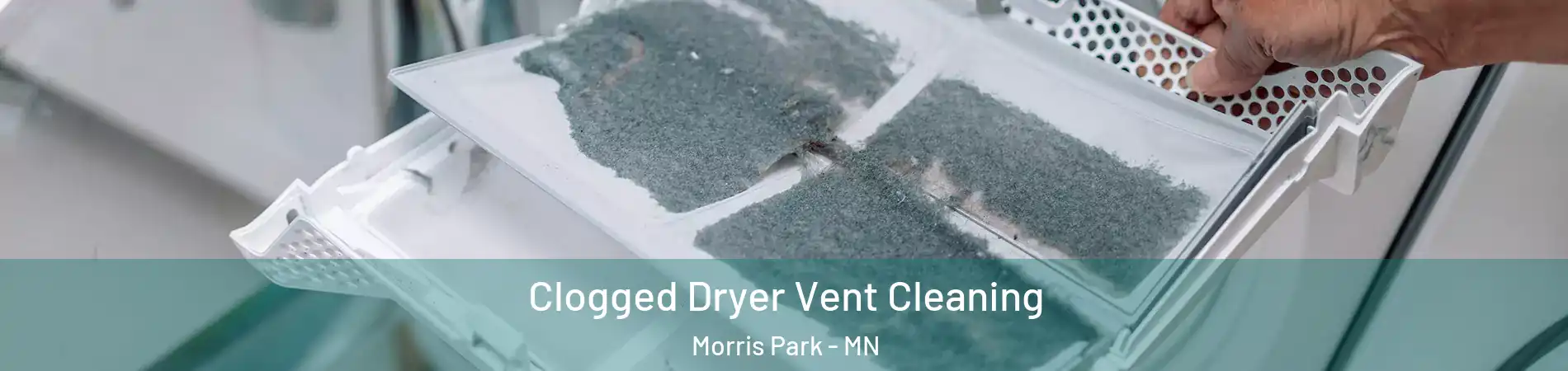 Clogged Dryer Vent Cleaning Morris Park - MN