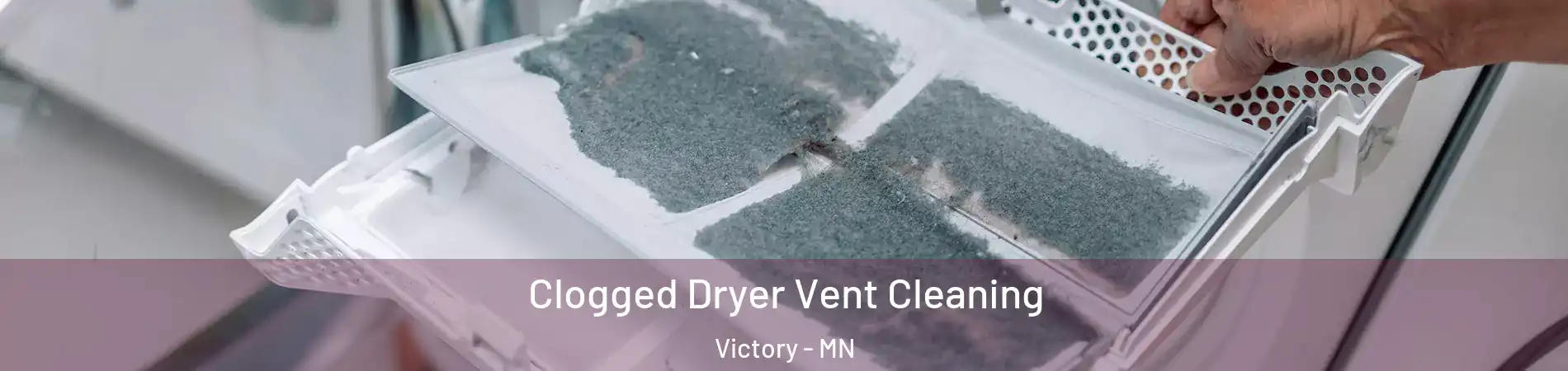 Clogged Dryer Vent Cleaning Victory - MN