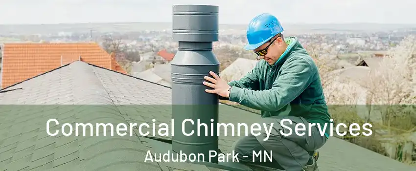 Commercial Chimney Services Audubon Park - MN