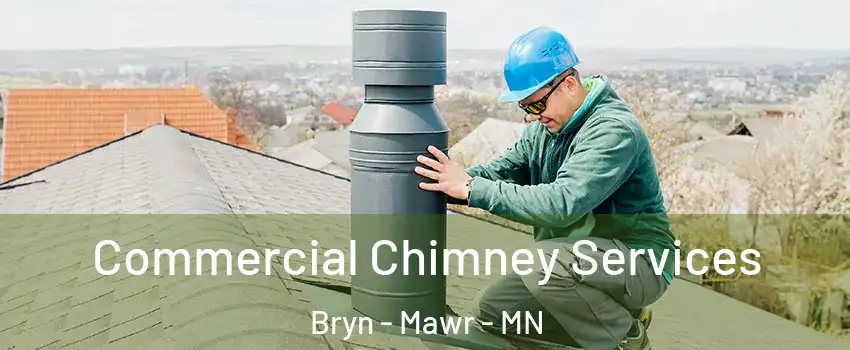 Commercial Chimney Services Bryn - Mawr - MN