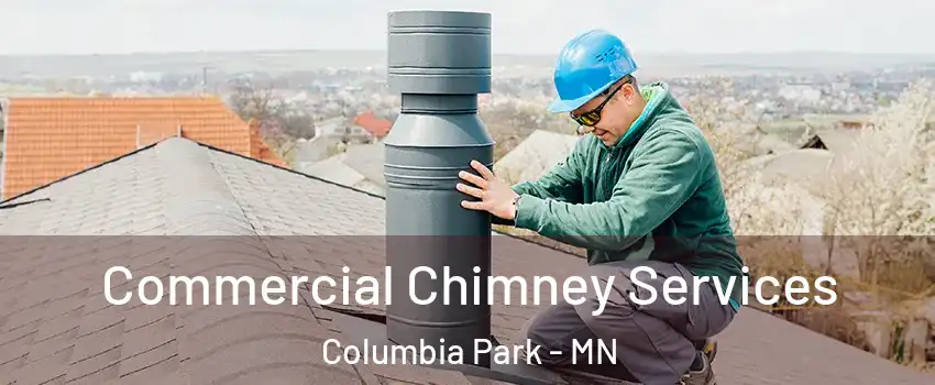 Commercial Chimney Services Columbia Park - MN