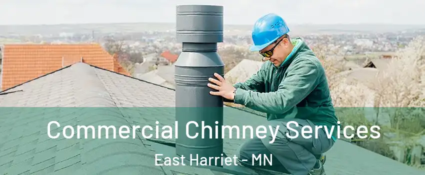 Commercial Chimney Services East Harriet - MN