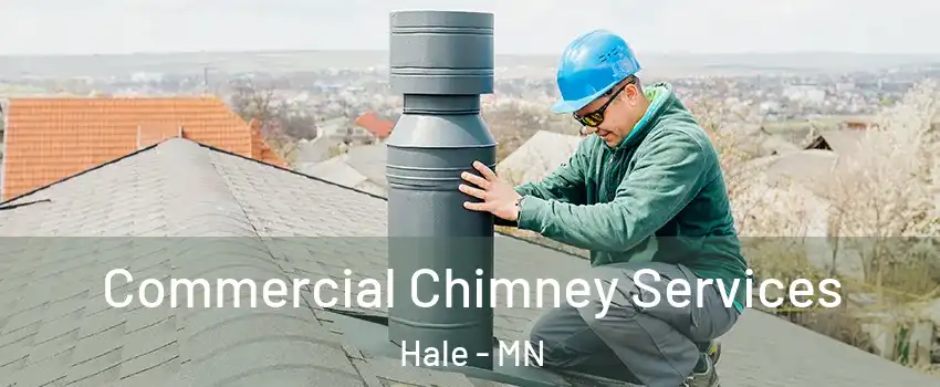 Commercial Chimney Services Hale - MN