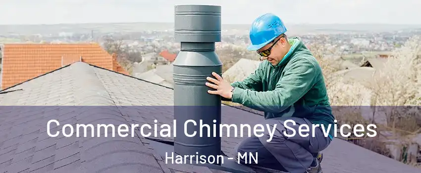 Commercial Chimney Services Harrison - MN