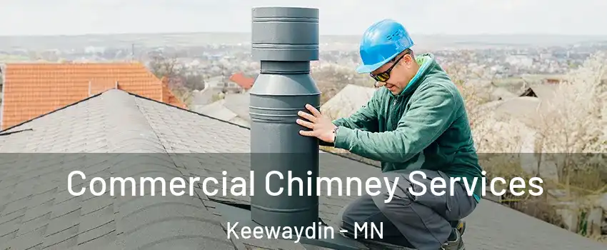 Commercial Chimney Services Keewaydin - MN