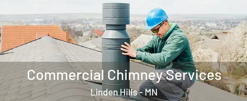 Commercial Chimney Services Linden Hills - MN