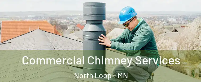 Commercial Chimney Services North Loop - MN