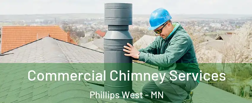 Commercial Chimney Services Phillips West - MN