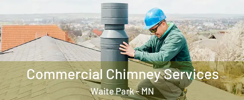 Commercial Chimney Services Waite Park - MN