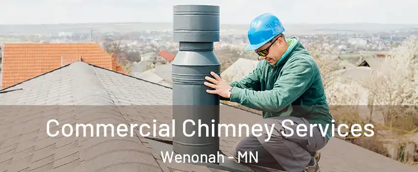 Commercial Chimney Services Wenonah - MN