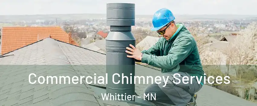 Commercial Chimney Services Whittier - MN