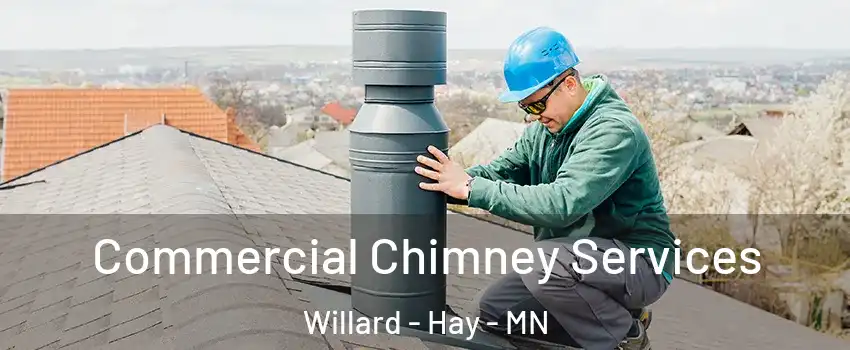 Commercial Chimney Services Willard - Hay - MN