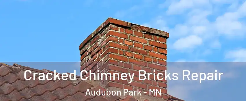 Cracked Chimney Bricks Repair Audubon Park - MN