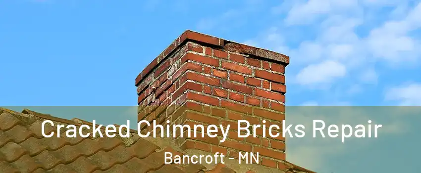 Cracked Chimney Bricks Repair Bancroft - MN