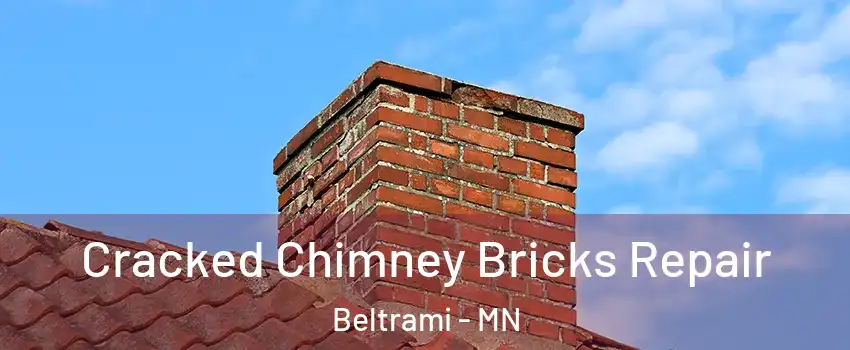 Cracked Chimney Bricks Repair Beltrami - MN