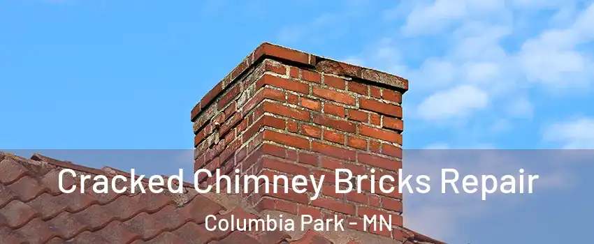 Cracked Chimney Bricks Repair Columbia Park - MN