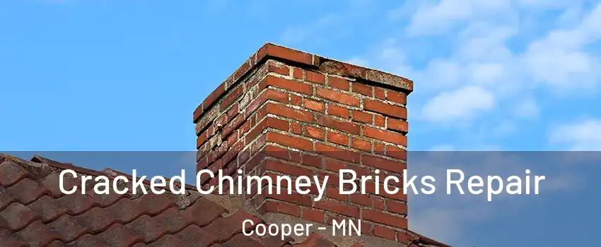 Cracked Chimney Bricks Repair Cooper - MN
