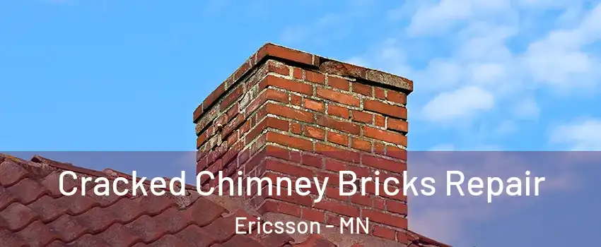 Cracked Chimney Bricks Repair Ericsson - MN