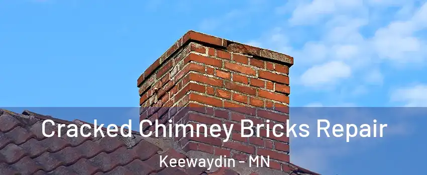 Cracked Chimney Bricks Repair Keewaydin - MN