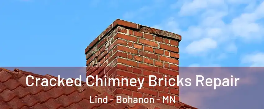 Cracked Chimney Bricks Repair Lind - Bohanon - MN