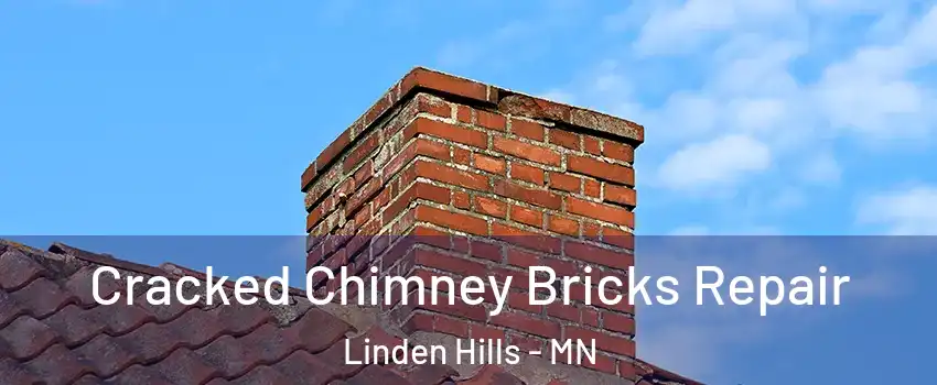Cracked Chimney Bricks Repair Linden Hills - MN