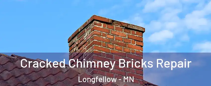 Cracked Chimney Bricks Repair Longfellow - MN