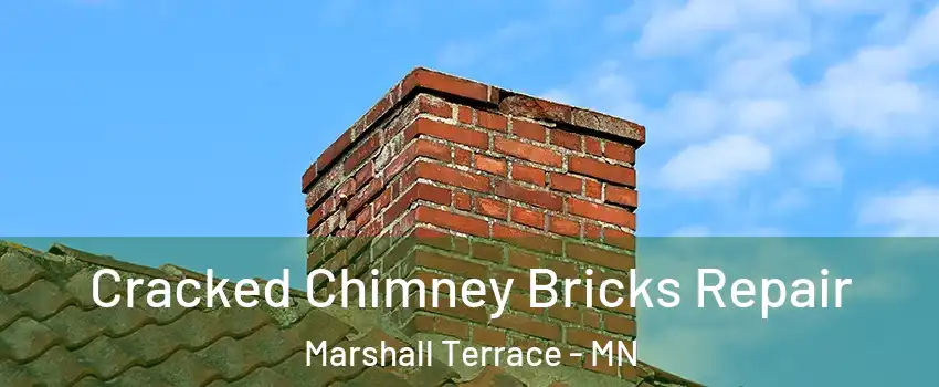 Cracked Chimney Bricks Repair Marshall Terrace - MN