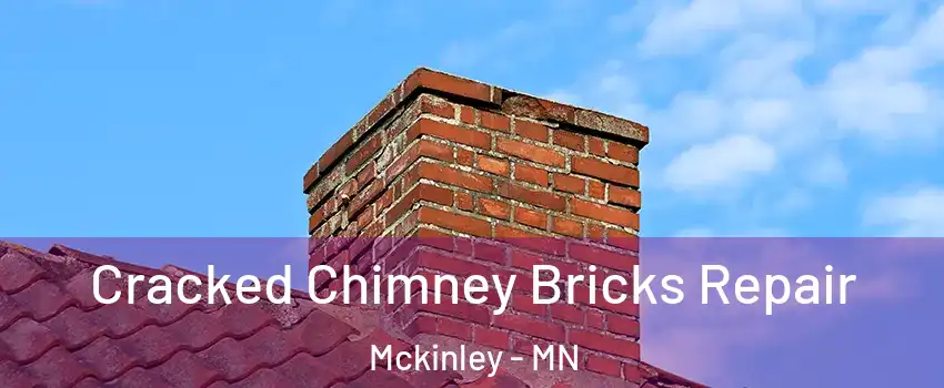 Cracked Chimney Bricks Repair Mckinley - MN