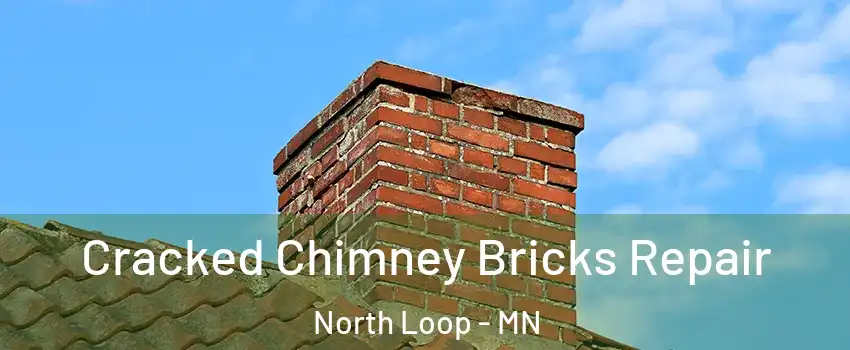 Cracked Chimney Bricks Repair North Loop - MN