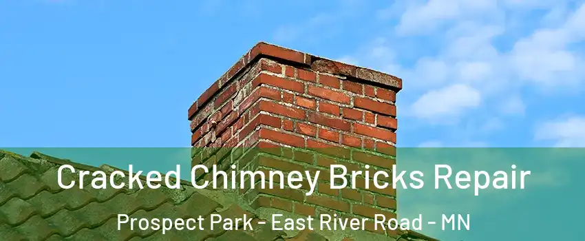 Cracked Chimney Bricks Repair Prospect Park - East River Road - MN