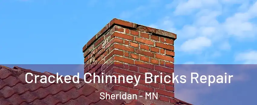 Cracked Chimney Bricks Repair Sheridan - MN