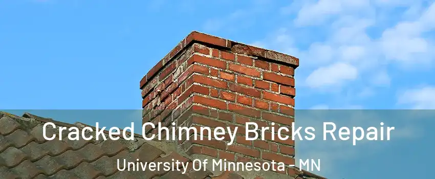 Cracked Chimney Bricks Repair University Of Minnesota - MN