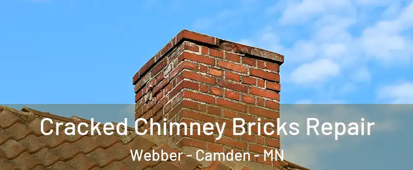 Cracked Chimney Bricks Repair Webber - Camden - MN
