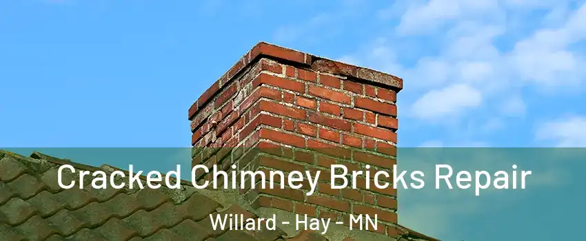 Cracked Chimney Bricks Repair Willard - Hay - MN
