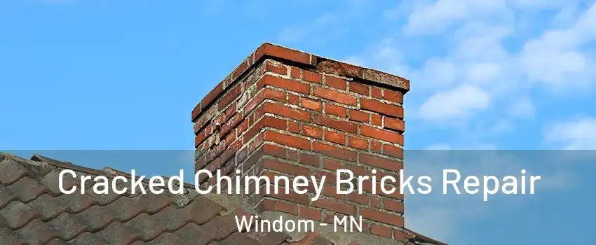 Cracked Chimney Bricks Repair Windom - MN