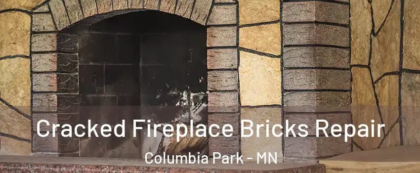 Cracked Fireplace Bricks Repair Columbia Park - MN
