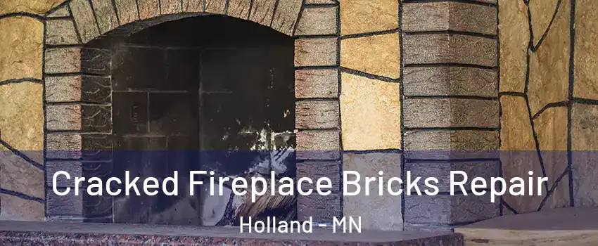 Cracked Fireplace Bricks Repair Holland - MN
