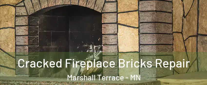 Cracked Fireplace Bricks Repair Marshall Terrace - MN