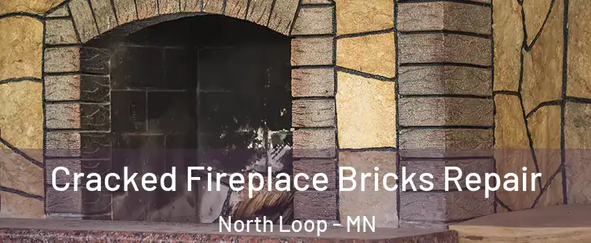 Cracked Fireplace Bricks Repair North Loop - MN